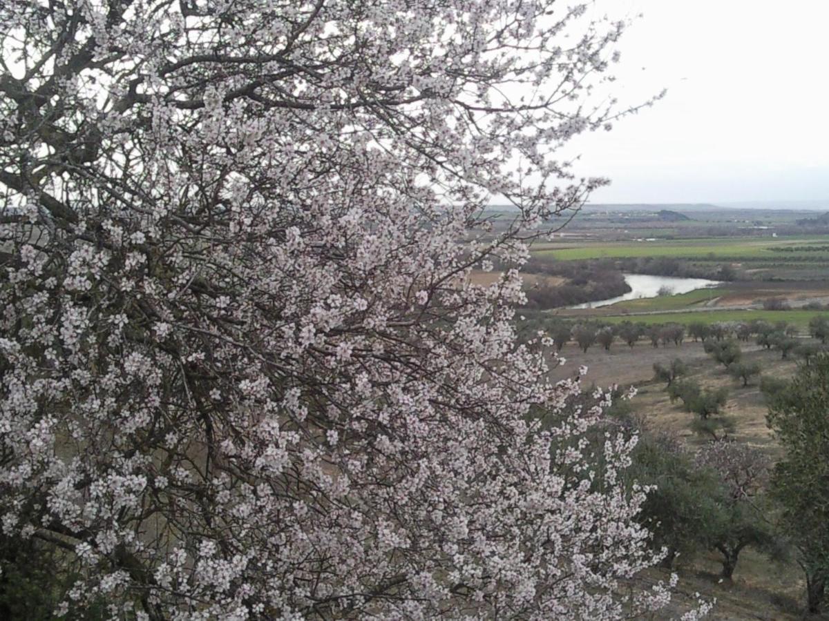 Posada La Reja Malpica de Tajo Εξωτερικό φωτογραφία