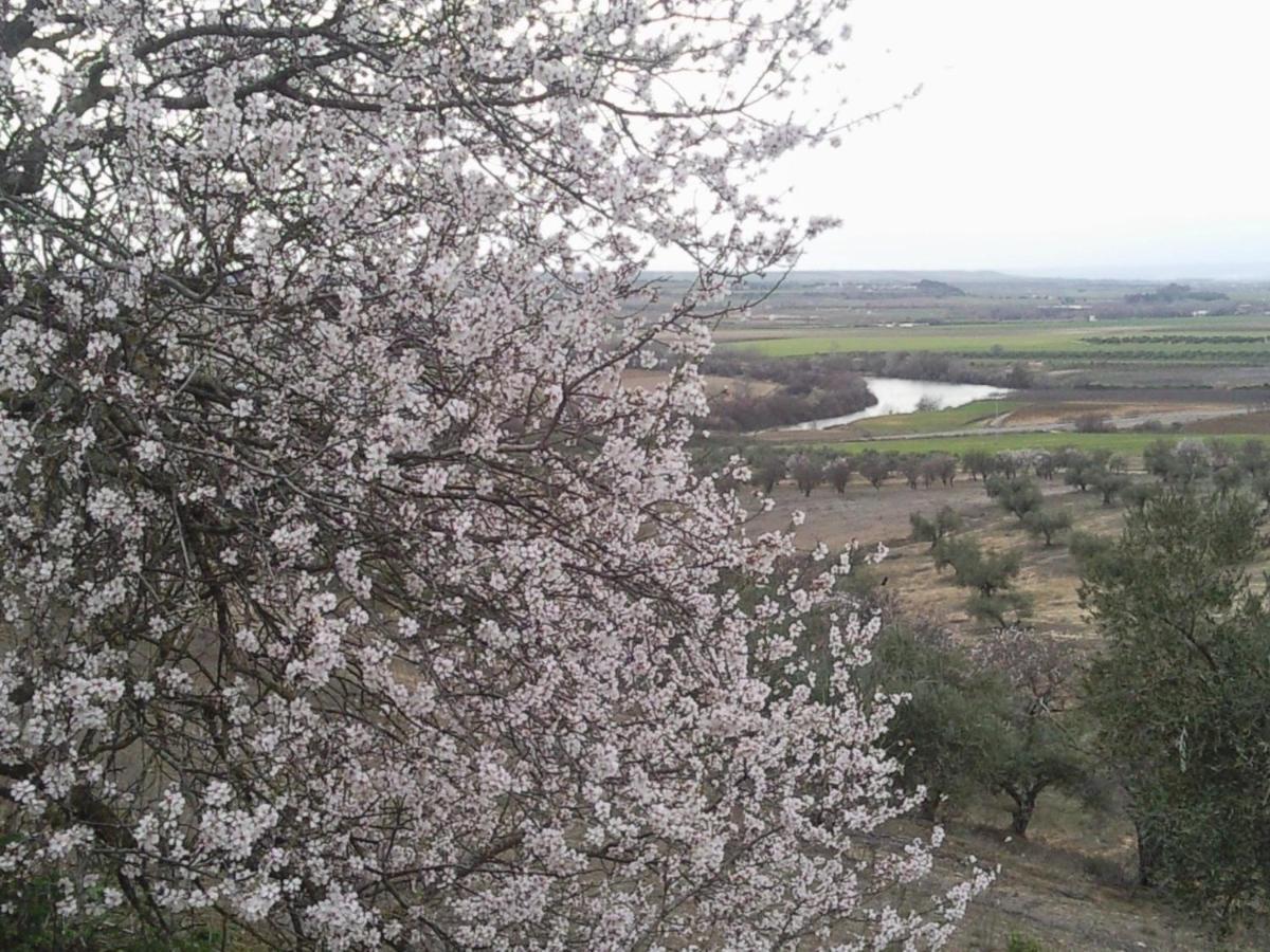 Posada La Reja Malpica de Tajo Εξωτερικό φωτογραφία